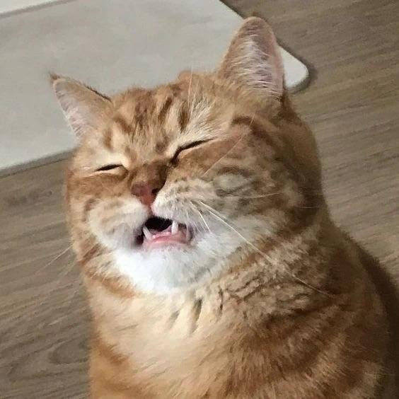白身