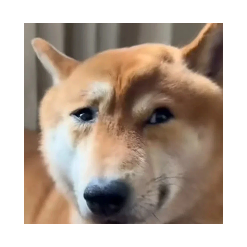 阿祖