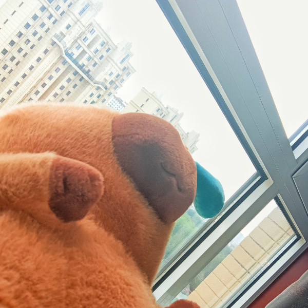 (⊙o⊙)啥？