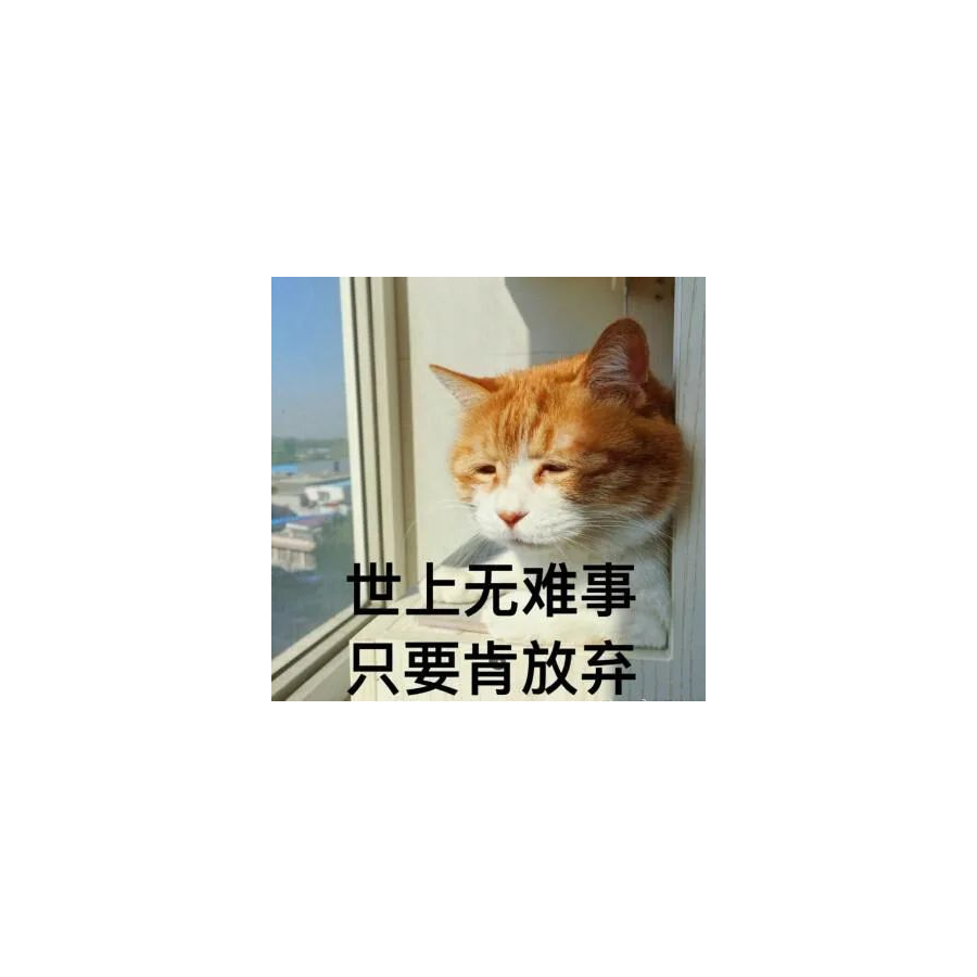 揪揪猪的爸