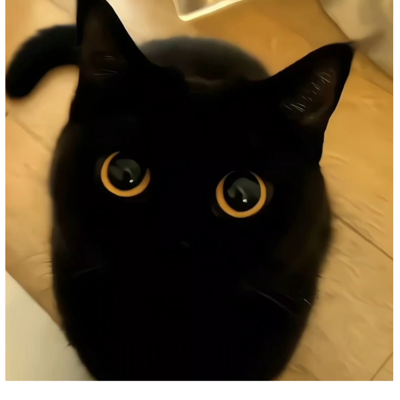 手机用户63167586
