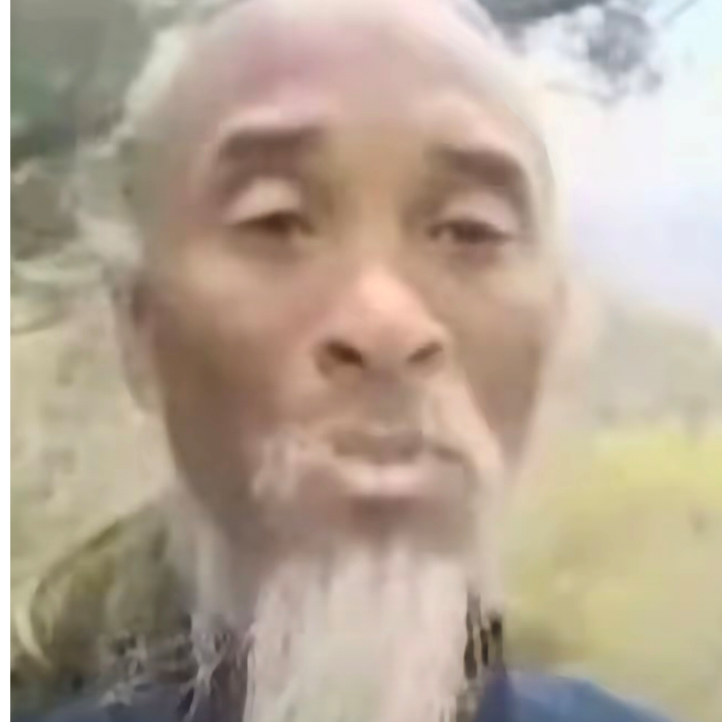 蓝山茶