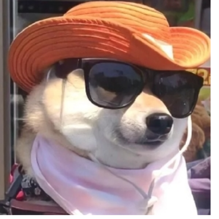 手机用户84949650