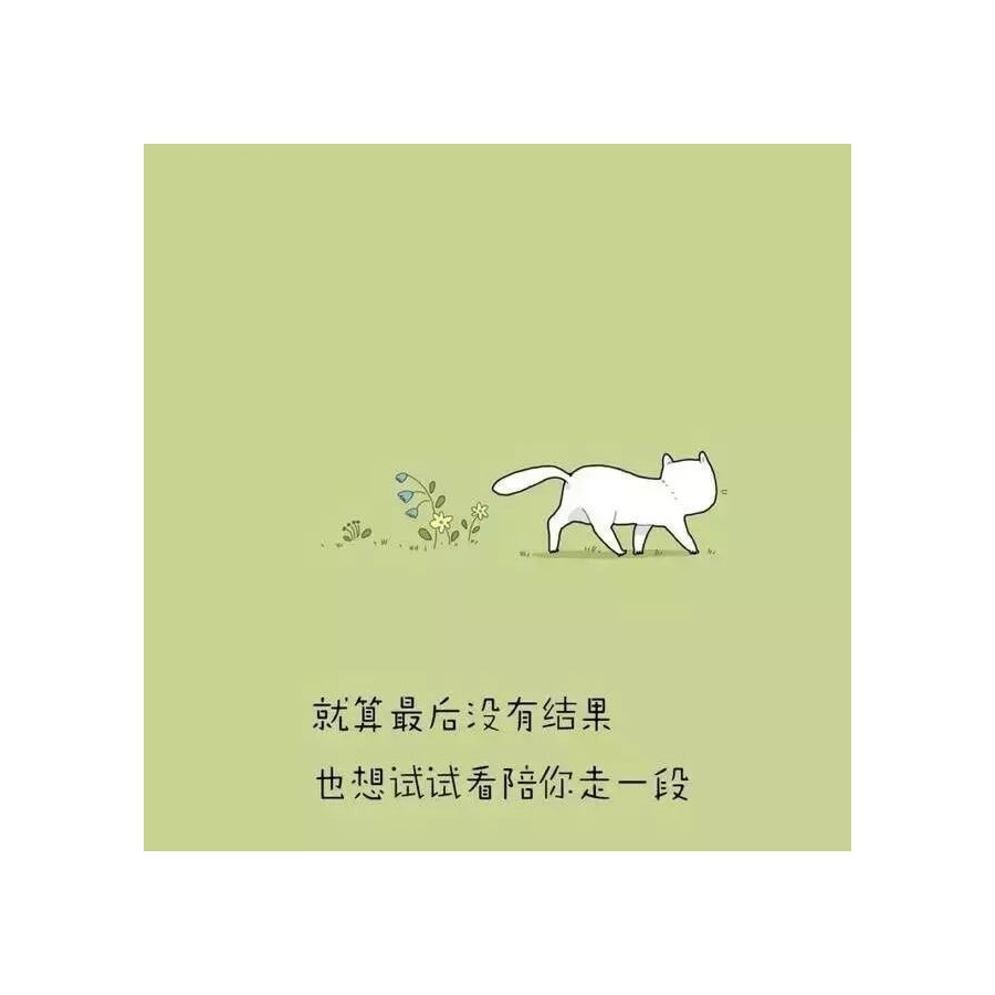 白猫今日说