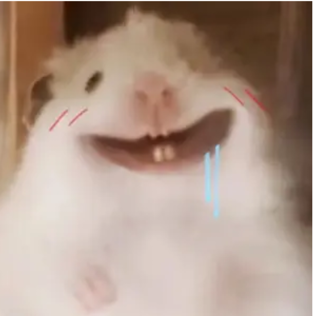 沐小璇