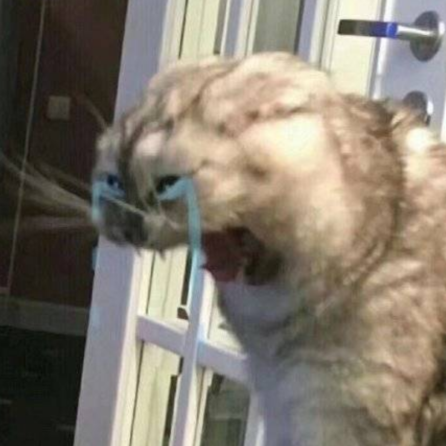 lym