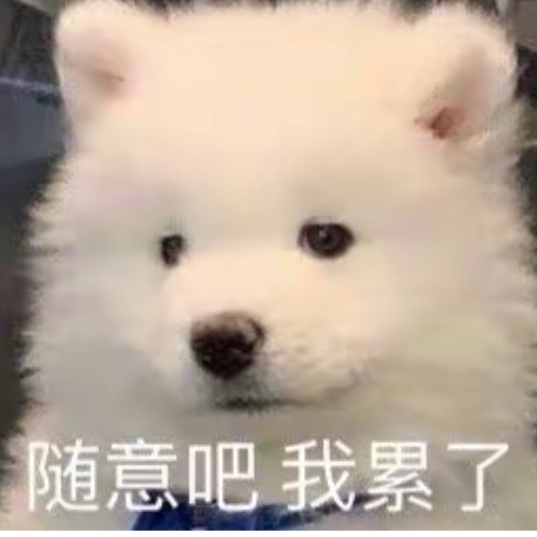 镜亦舒