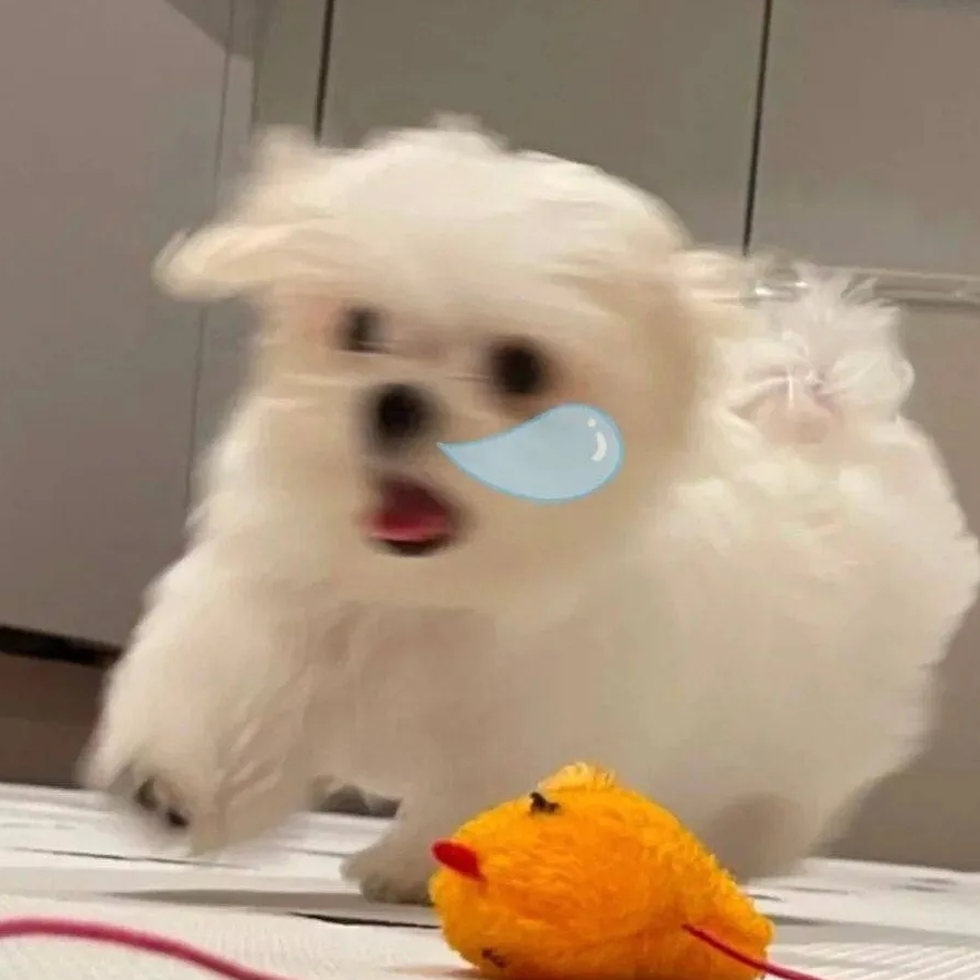 鹤不二