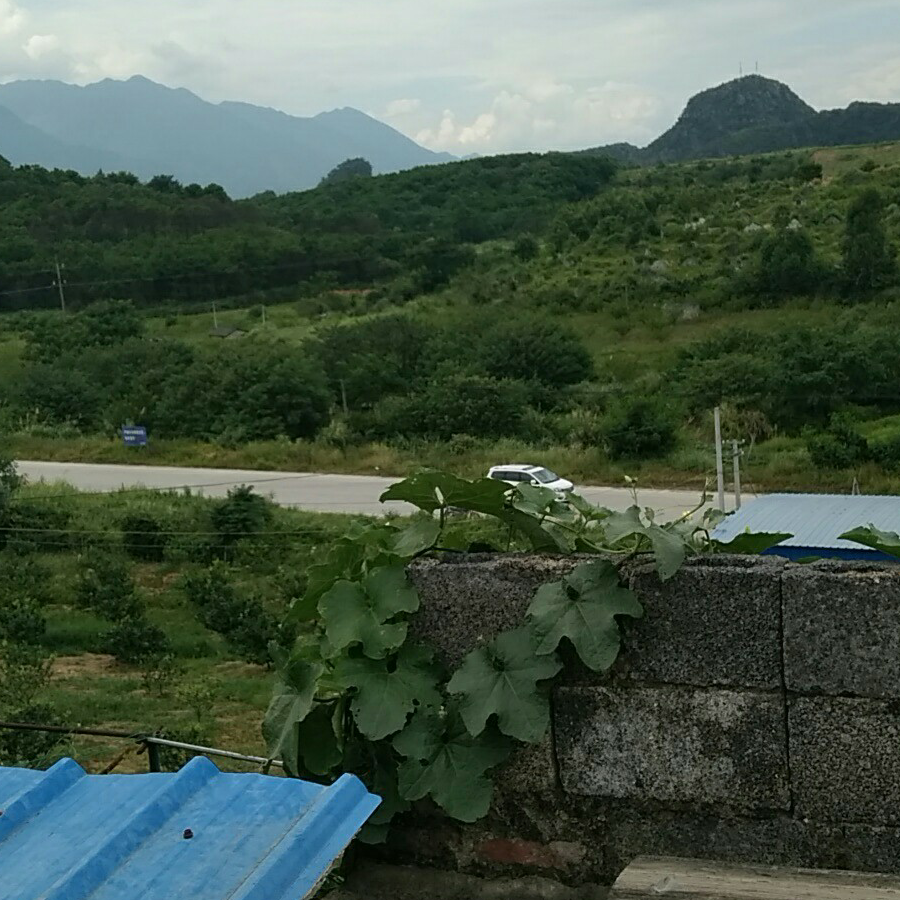 骷髅哥