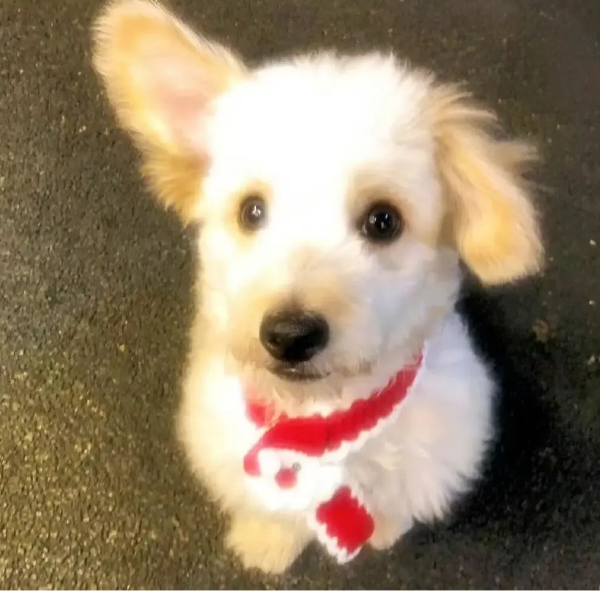 @-@