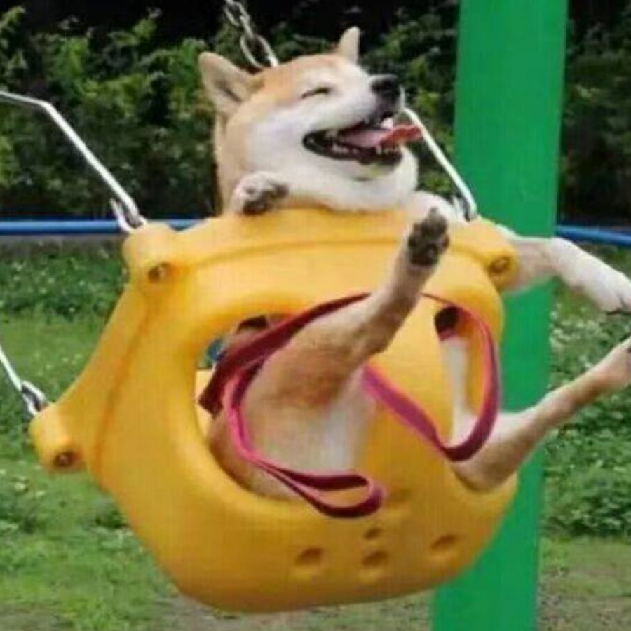 容我发个呆