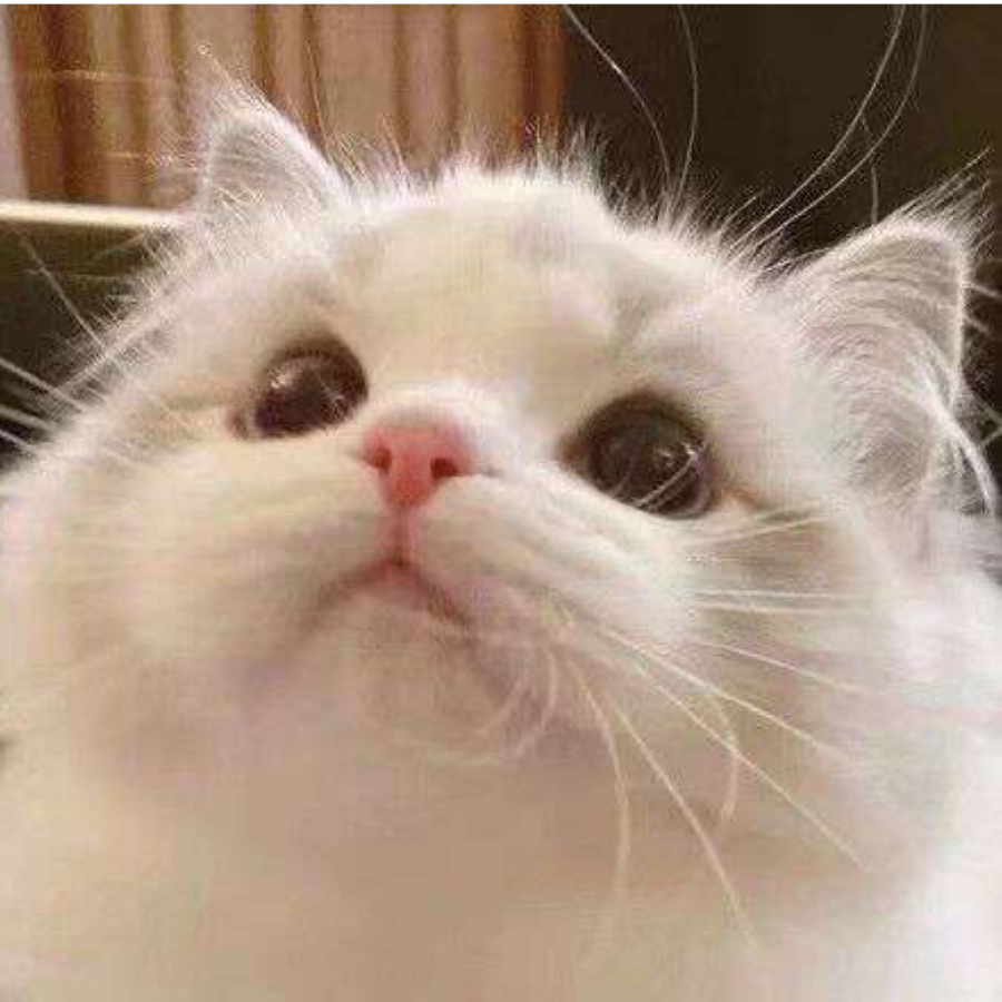 纸鸢