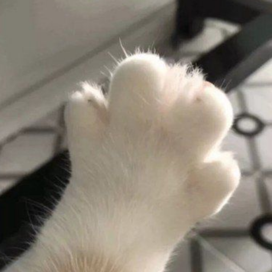 沐晴