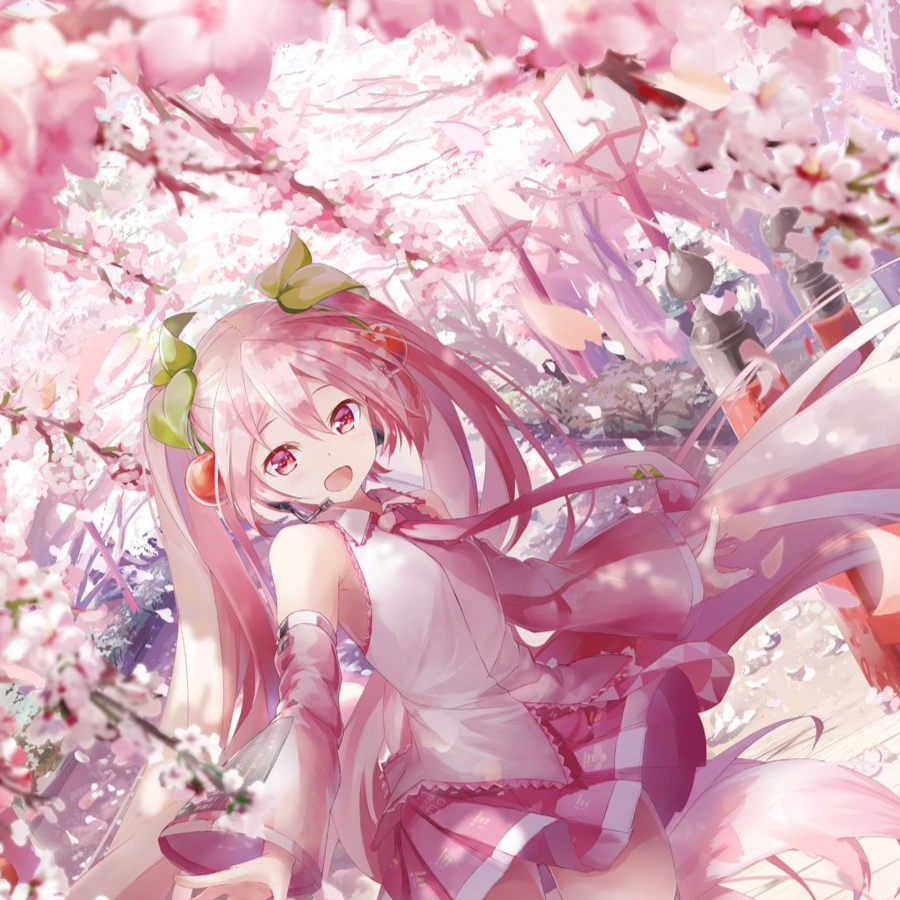 sjkken (空白好不)