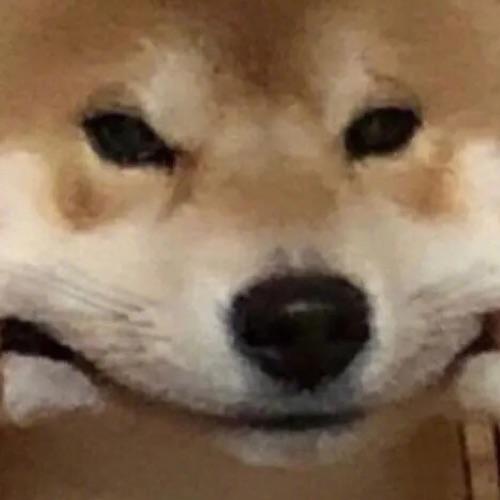 李子我呀