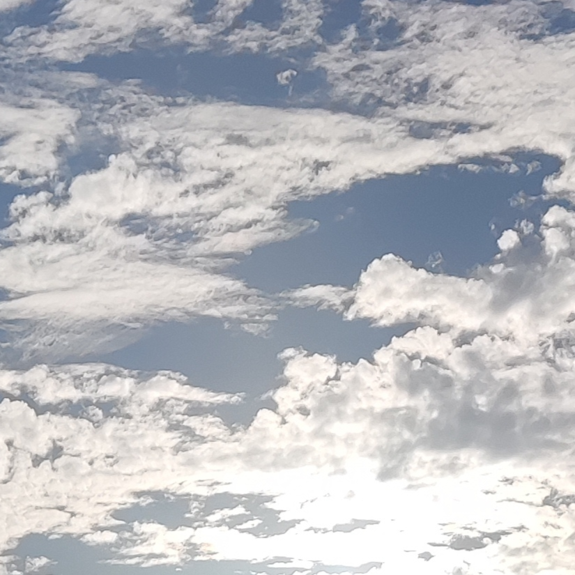 手机用户10478356