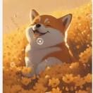范登云