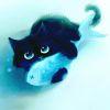 鱼猫