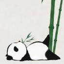 大雄哥