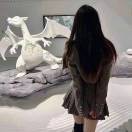 卿七七