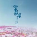 姚