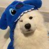 すべては静寂に帰する