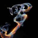 芝芝（835819）社