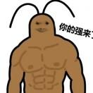 强小强