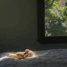 委屈就睡ᵇᵃ.