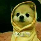 丿扯不尽的流年