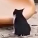 啊?
