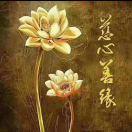 一命通关的使君