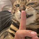 D.