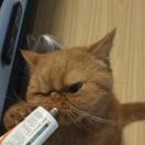 ༄༊࿆味佳肴ડꪖᦔོྂཾ࿆࿐