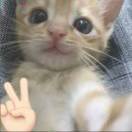 12-