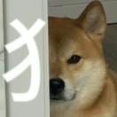 蝶蝶蝶