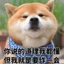 扮老虎吃猪