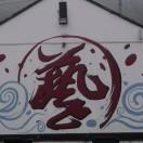 泛泳