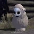 新生儿ㅤㅤㅤ0A