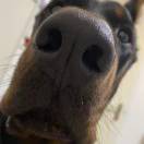 再动我开枪了。