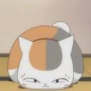 猫咪老师