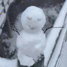 霖