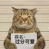 别在意