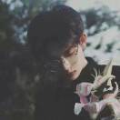 只是想早睡罢了