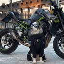 全世界为我着迷