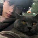 吱唔猪