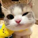 洛邪