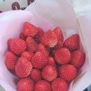 ilu  ohhh🐾🍓