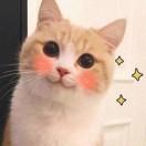 亦云亦冰