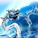 龍之泪